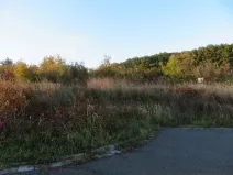 Dražba louky, Březnice, 6503 m2