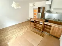 Pronájem bytu 1+kk, Brno, Přadlácká, 31 m2