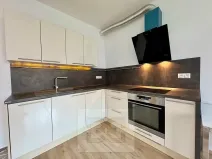 Pronájem bytu 1+kk, Brno, Kigginsova, 42 m2