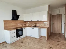 Pronájem bytu 1+1, České Budějovice - České Budějovice 2, J. Opletala, 40 m2