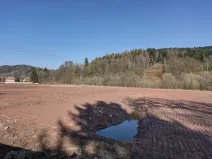 Pronájem komerčního pozemku, Trutnov - Libeč, 5000 m2