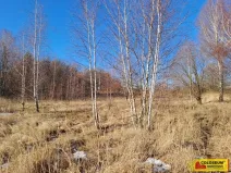 Prodej komerčního pozemku, Šafov, 15899 m2