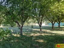 Pronájem zahrady, Vilémovice, 1504 m2