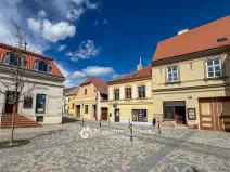 Prodej obchodního prostoru, Znojmo, Horní Česká, 300 m2