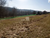 Prodej pole, Včelnička, 1389 m2