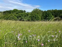 Prodej pole, Kouřim, 12974 m2