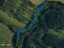 Prodej lesa, Dolní Vilémovice, 5435 m2