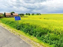 Prodej pozemku pro bydlení, Krásný Dvůr - Chotěbudice, 805 m2