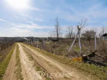 Pronájem zahrady, Vrbovec, 1217 m2