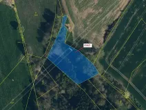 Dražba louky, Olešná, 3211 m2