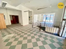 Pronájem obchodního prostoru, Opava, sady Svobody, 270 m2