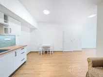 Pronájem bytu 1+kk, Příbram, Špitálská, 40 m2