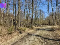 Prodej lesa, Rybí, 55558 m2