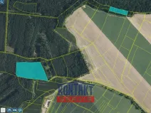 Prodej lesa, Bačalky - Lično, 32004 m2