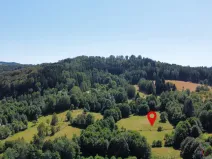 Prodej pozemku pro bydlení, Olešnice v Orlických horách, 3027 m2