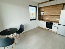 Pronájem bytu 1+kk, Plzeň - Východní Předměstí, Kartónová, 30 m2