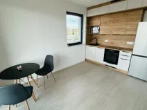 Pronájem bytu 1+kk, Plzeň - Východní Předměstí, Kartónová, 30 m2