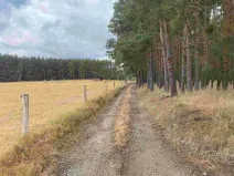 Prodej pozemku, Kladruby - Tuněchody, 1744 m2