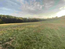 Prodej pole, Cvikov - Trávník, 7470 m2