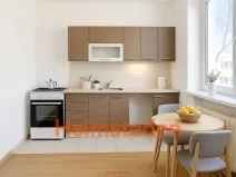 Pronájem bytu 1+1, Havířov - Město, U Stromovky, 29 m2