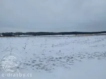 Dražba pole, Toušice, 7911 m2