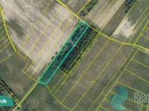 Prodej podílu 1/8 pole, Hlavečník, 3089 m2