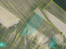 Prodej podílu 1/8 pole, Hlavečník, 3089 m2