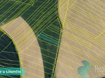 Prodej podílu 1/2 pole, Hoštice, 729 m2