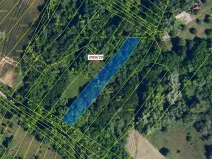 Dražba lesa, Ivančice, 1130 m2