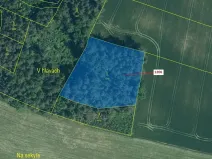 Dražba lesa, Hradiště, 3718 m2