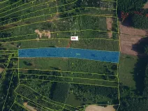 Dražba lesa, Loukovice, 7796 m2