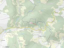 Dražba lesa, Vranová Lhota, 5323 m2