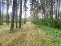 Dražba pozemku, Kladruby, 1744 m2