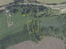 Dražba louky, Brandýs nad Labem-Stará Boleslav, 1366 m2