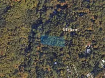 Prodej podílu lesa, Brno, 431 m2