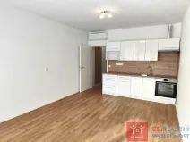 Pronájem bytu 1+kk, Znojmo, Jarošova, 35 m2