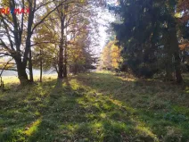 Prodej louky, Kynšperk nad Ohří, 20332 m2