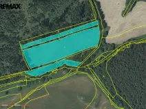 Prodej louky, Kynšperk nad Ohří, 20332 m2
