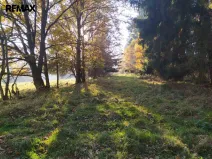 Prodej louky, Kynšperk nad Ohří, 20332 m2