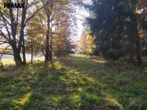 Prodej louky, Kynšperk nad Ohří, 20332 m2