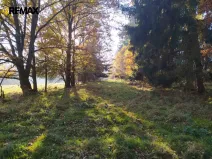 Prodej louky, Kynšperk nad Ohří, 20332 m2