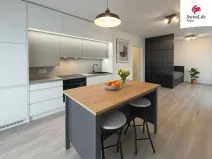 Pronájem bytu 1+kk, Plzeň, Františka Kováříka, 38 m2