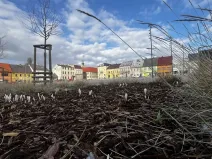 Prodej bytu 3+1, Nové Město pod Smrkem, Vaňkova, 69 m2