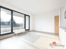 Prodej bytu 2+kk, Plzeň - Jižní Předměstí, Železná, 55 m2