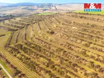 Prodej pole, Morkůvky, 2424 m2