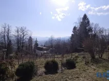 Prodej zahrady, Jeseník, Růžová, 492 m2