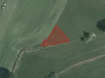 Prodej louky, Libáň, 6962 m2