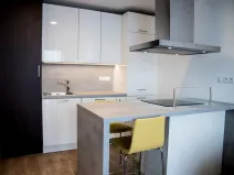 Pronájem bytu 1+kk, Praha - Stodůlky, Mukařovského, 42 m2