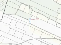 Dražba pole, Olešnice, 318 m2