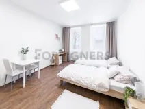 Pronájem bytu 1+kk, Brno, Bratislavská, 25 m2